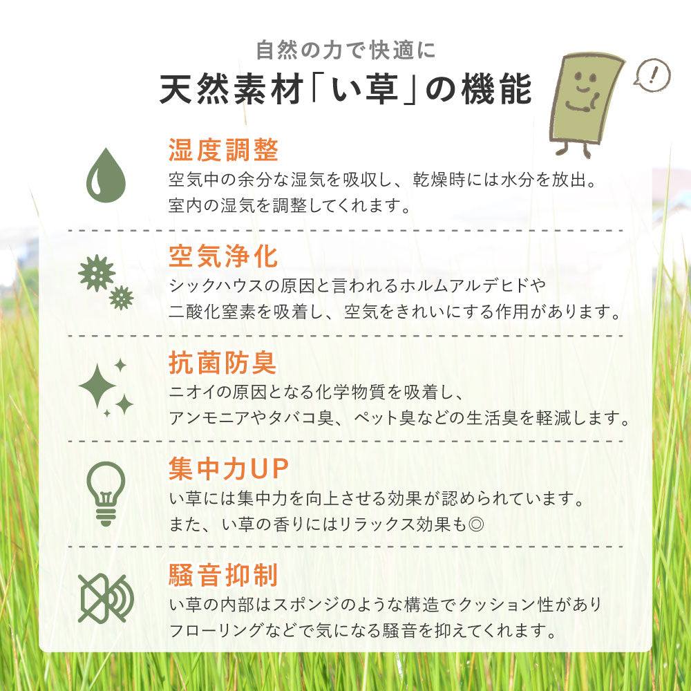 置き畳 1枚 82×82cm い草100% ストライプ柄 小上がり 断熱 防音 抗菌防臭 キッズスペース 和室