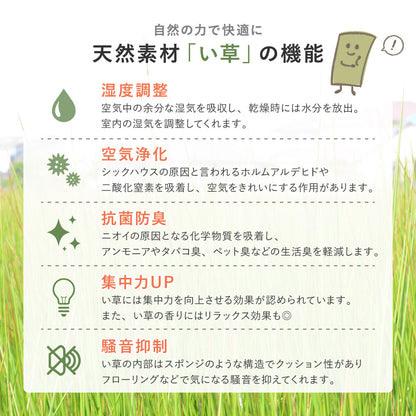 い草ラグ 180×180cm グラデーション 2畳 和モダン 天然素材 湿度調整 抗菌防臭 夏 冷感