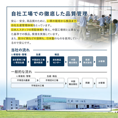 い草ラグ 180×180cm グラデーション 2畳 和モダン 天然素材 湿度調整 抗菌防臭 夏 冷感