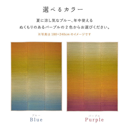 い草ラグ 180×240cm グラデーション 3畳 和モダン 天然素材 湿度調整 抗菌防臭 夏 冷感