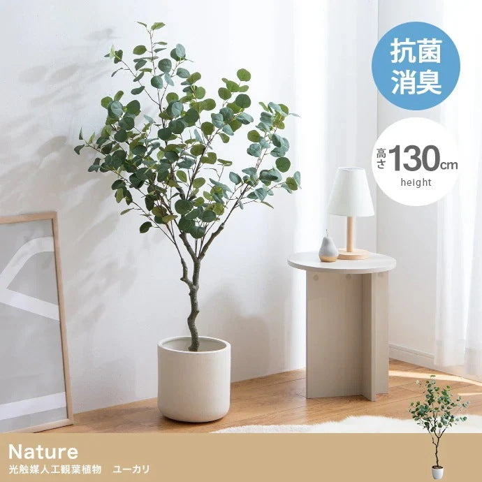 観葉植物 フェイクグリーン 光触媒 ユーカリ 高さ130cmタイプ