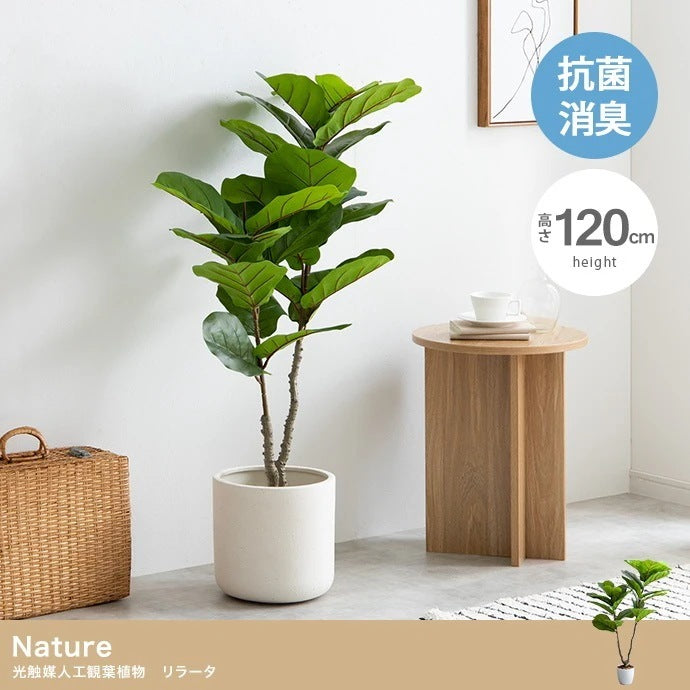 観葉植物 フェイクグリーン 光触媒 リラータ 高さ120cm