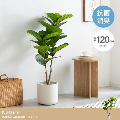 観葉植物 フェイクグリーン 光触媒 リラータ 高さ120cm
