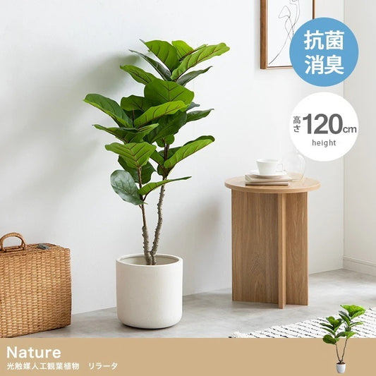 観葉植物 フェイクグリーン 光触媒 リラータ 高さ120cm