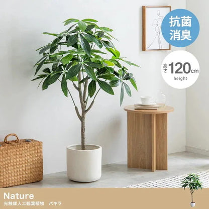 観葉植物 フェイクグリーン 光触媒 パキラ 高さ120cm
