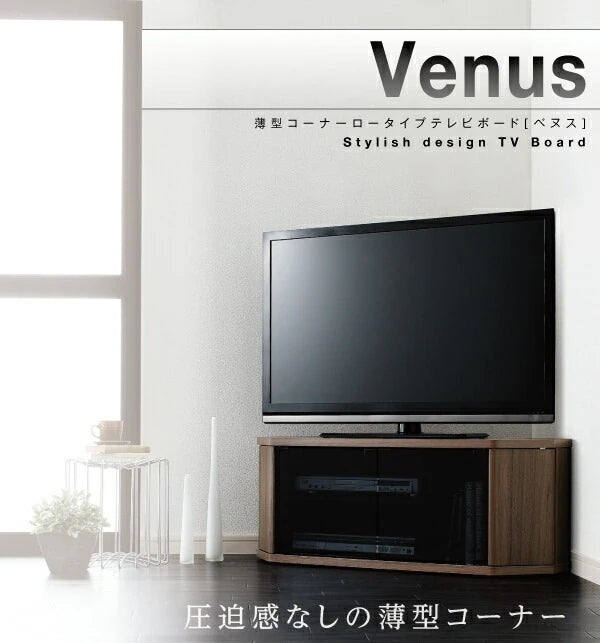 コーナーテレビボード 幅100cm レギュラータイプ 薄型 ロータイプ 隠しキャスター 収納